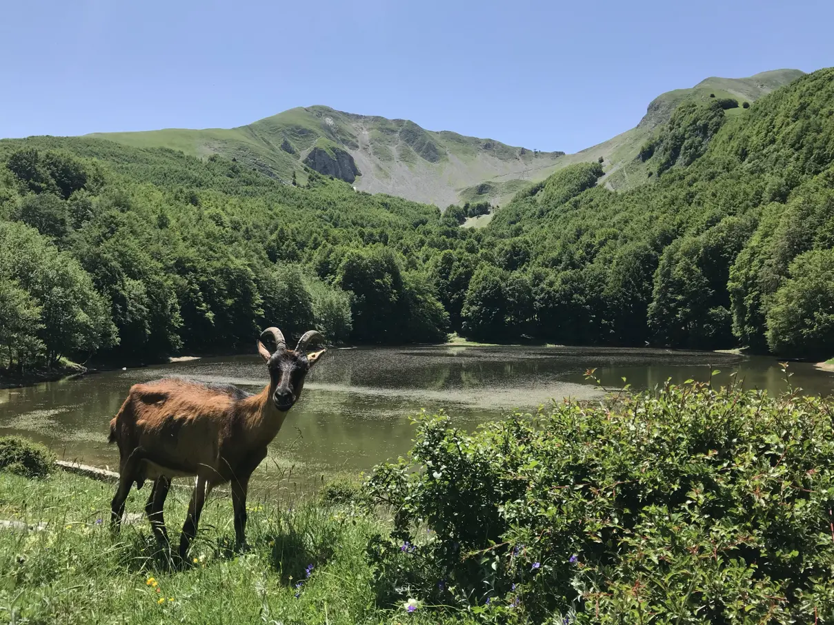 Gita al Lago Laudemio