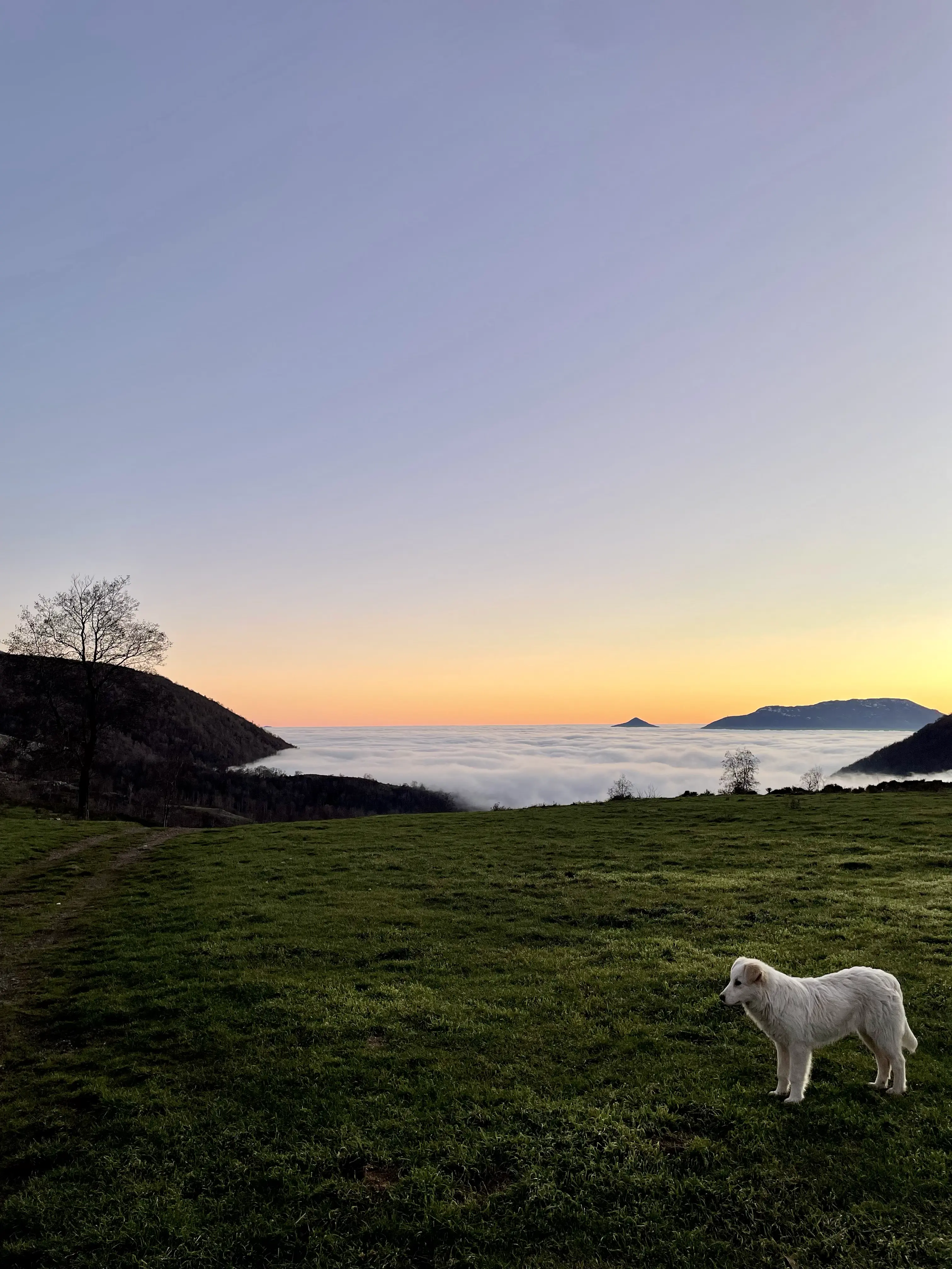 Un Tramonto Meraviglioso